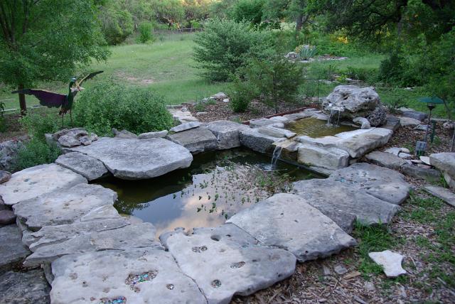 Backyard pond for birds.