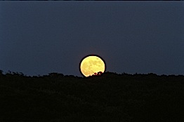 the moonrise